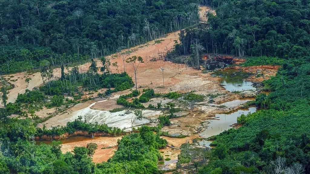 19 Candidatos ao Senado da Amazônia Defendem Garimpo em Terras Indígenas: Quem São e Quais Seus Argumentos 19 Candidatos ao Senado da Amazônia Defendem Garimpo em Terras Indígenas: Quem São e Quais Seus Argu