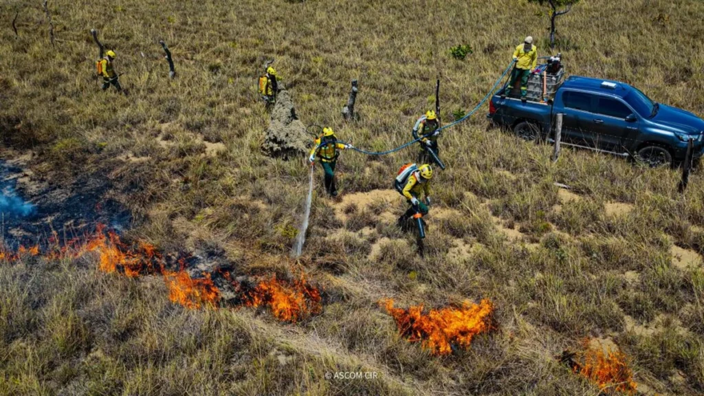 Brigadistas indígenas avançam com queima planejada para proteger territórios em Roraima Brigadistas indígenas avançam com queima planejada para proteger territórios em Roraima