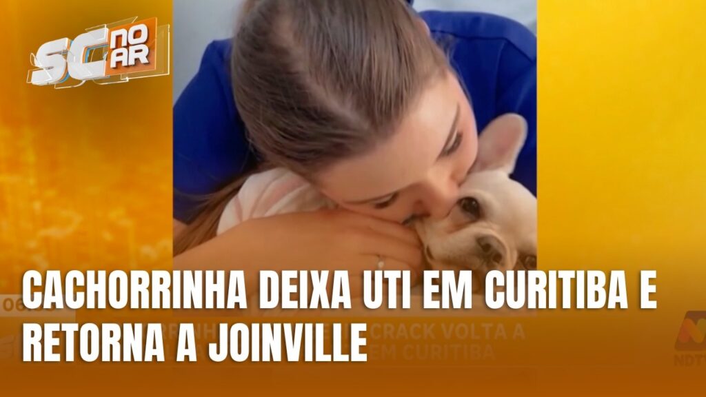 Cachorrinha Antonieta Retorna a Joinville Após Alta da UTI Cachorrinha Antonieta Retorna a Joinville Após Alta da UTI