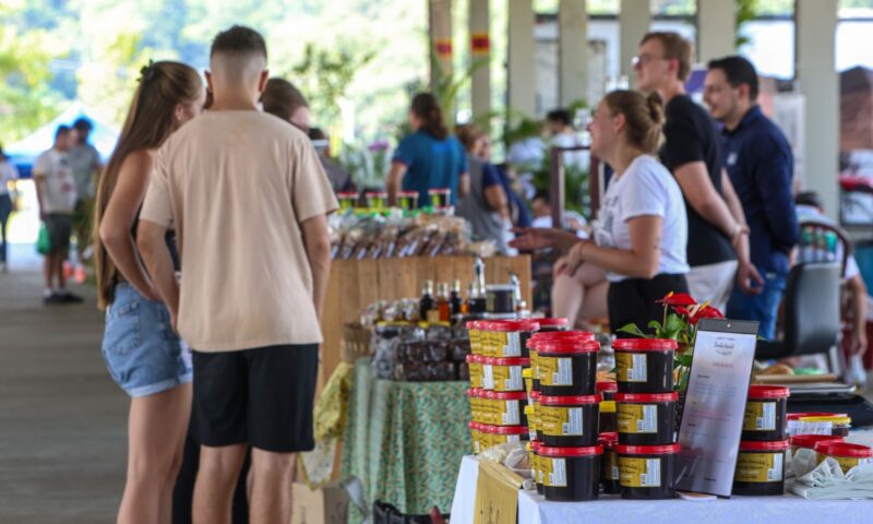 Feira Direto do Campo: Mais de 30 Produtores Rurais em Joinville Neste Fim de Semana Feira Direto do Campo: Mais de 30 Produtores Rurais em Joinville Neste Fim de Semana
