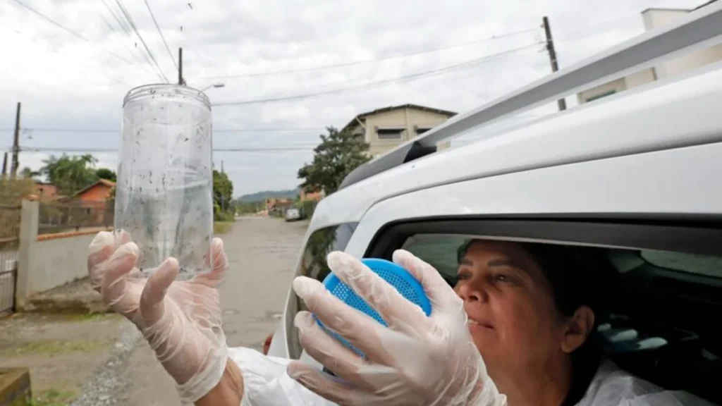 Joinville amplia combate à dengue com Método Wolbachia em toda área urbana Joinville amplia combate à dengue com Método Wolbachia em toda área urbana