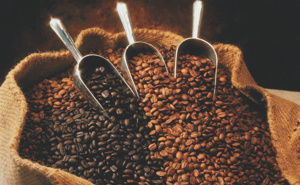 Impacto das Tarifas Americanas sobre o Café Capixaba: O que Esperar? Impacto das Tarifas Americanas sobre o Café Capixaba: O que Esperar?