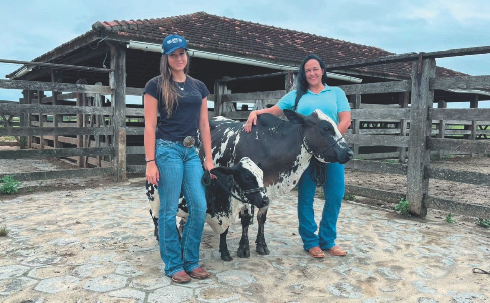 Mulheres lideram 14 mil fazendas no Espírito Santo, mostrando força no agronegócio Mulheres lideram 14 mil fazendas no Espírito Santo, mostrando força no agronegócio