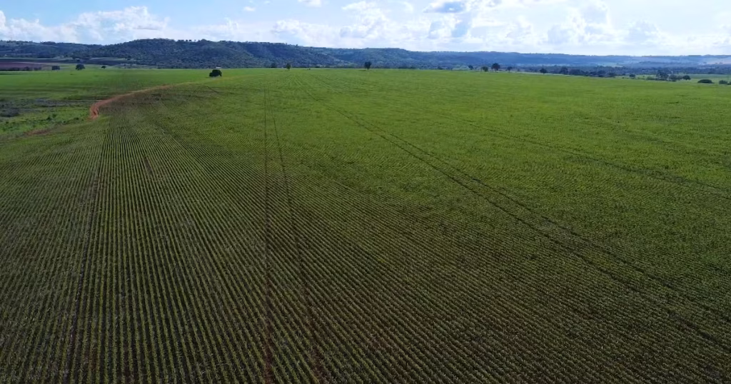 Uberlândia: Atração de Investidores do Agronegócio por Infraestrutura e Logística Eficientes Uberlândia: Atração de Investidores do Agronegócio por Infraestrutura e Logística Eficientes
