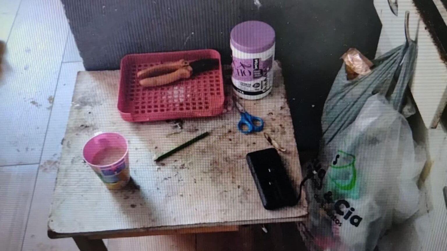 Mãe é Detida por Maus-Tratos a Crianças em Vila Velha: Entenda o Caso Mãe é Detida por Maus-Tratos a Crianças em Vila Velha: Entenda o Caso