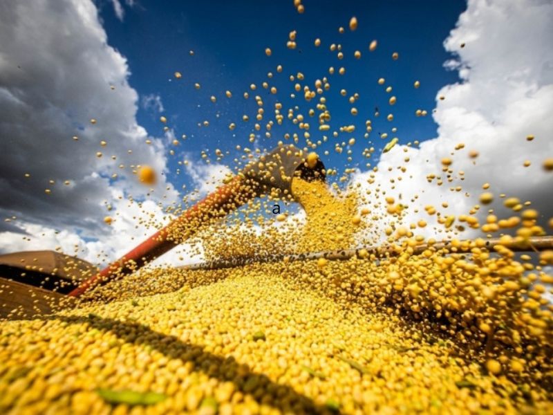 Nova Regulamentação do OEA: Impulsionando Benefícios Tributários para o Agronegócio Nova Regulamentação do OEA: Impulsionando Benefícios Tributários para o Agronegócio