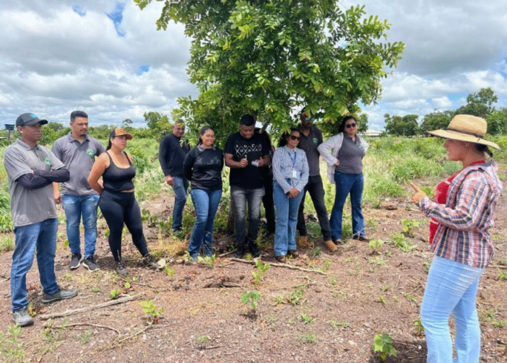 Cursos Técnicos Gratuitos em Agronegócio: Uma Oportunidade de Qualificação em Mato Grosso Cursos Técnicos Gratuitos em Agronegócio: Uma Oportunidade de Qualificação em Mato Grosso