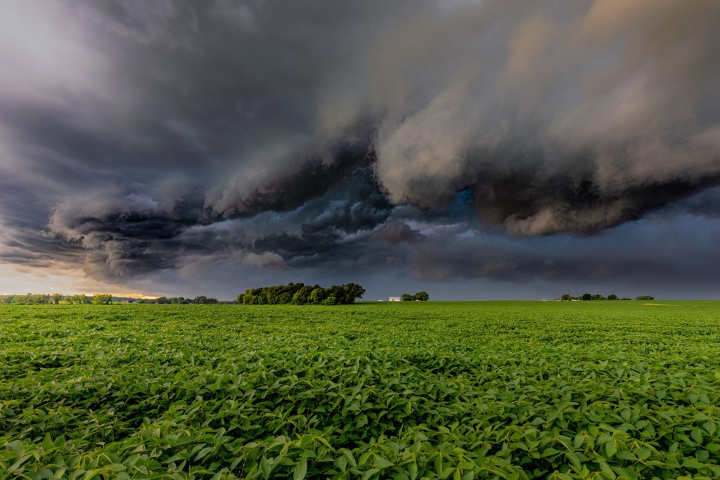 O Agronegócio Exige Quase R$ 50 Trilhões Anuais para Enfrentar as Mudanças Climáticas O Agronegócio Exige Quase R$ 50 Trilhões Anuais para Enfrentar as Mudanças Climáticas