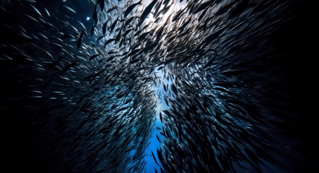 Serra Recebe Exposição ‘Maré de Mudanças – Década dos Oceanos’, Uma Reflexão Sobre Sustentabilidade Serra Recebe Exposição ‘Maré de Mudanças – Década dos Oceanos’, Uma Reflexão Sobre Sustentabilidade