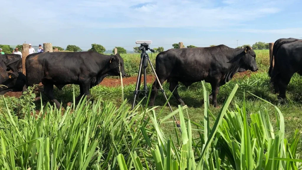 Agtechs capixabas triplicam e transformam o agronegócio no Espírito Santo