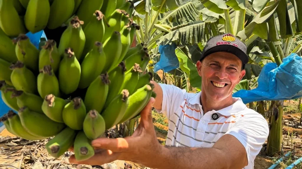Como a Cooperativa da Agricultura Familiar de Cariacica Revolucionou a Venda de Banana