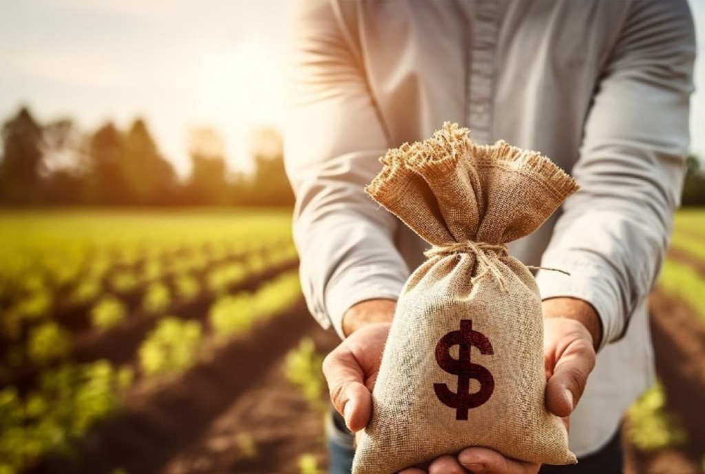 Crédito Fácil no Agronegócio: Armadilha Financeira que Revela Vulnerabilidades Crédito Fácil no Agronegócio: Armadilha Financeira que Revela Vulnerabilidades
