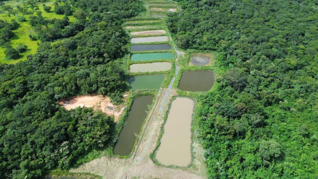 Inovação no Agronegócio: Embrapa Lança Nova Unidade para Fortalecer a Agricultura Familiar em Mato Grosso Inovação no Agronegócio: Embrapa Lança Nova Unidade para Fortalecer a Agricultura Familiar em Mato G