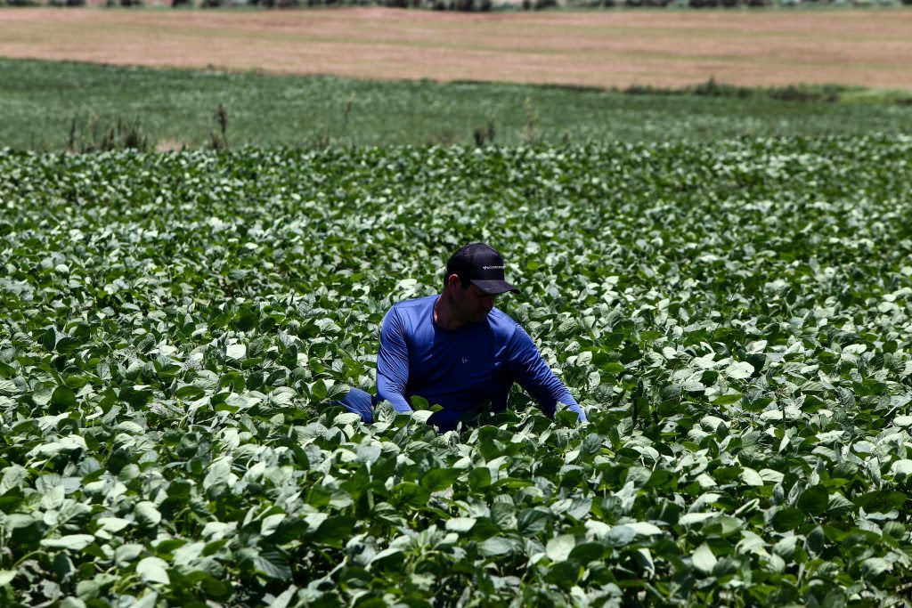 Tarcísio Moderniza Fundo do Agronegócio com Projeto de Lei Inovador Tarcísio Moderniza Fundo do Agronegócio com Projeto de Lei Inovador