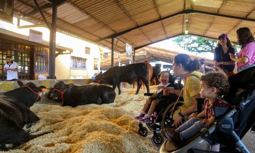 Expo Londrina 2026: Tecnologia e Eficiência em Foco no Agronegócio Expo Londrina 2026: Tecnologia e Eficiência em Foco no Agronegócio