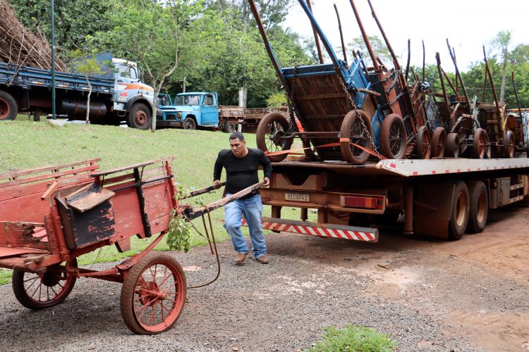 Londrina Implementa Medidas Inovadoras para Proibir Carroças com Tração Animal Londrina Implementa Medidas Inovadoras para Proibir Carroças com Tração Animal