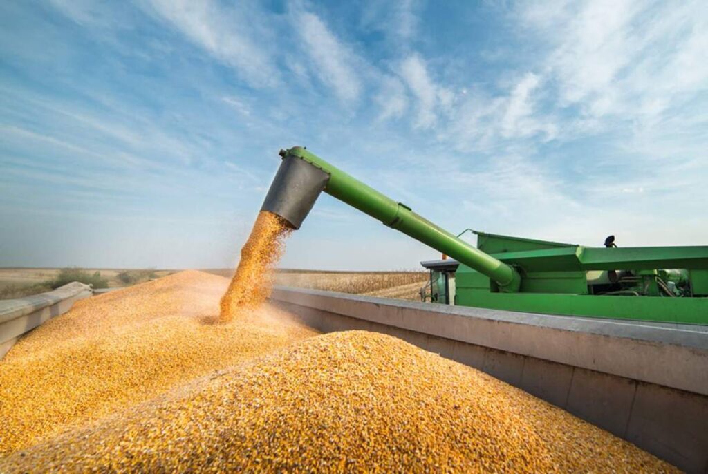 Nova Fábrica de R$ 300 Milhões Gera 200 Empregos e Fortalece Economia no Sul do Brasil