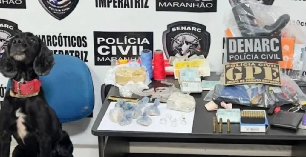 Família em Imperatriz: Quatro membros condenados por tráfico de drogas Imagem do artigo
