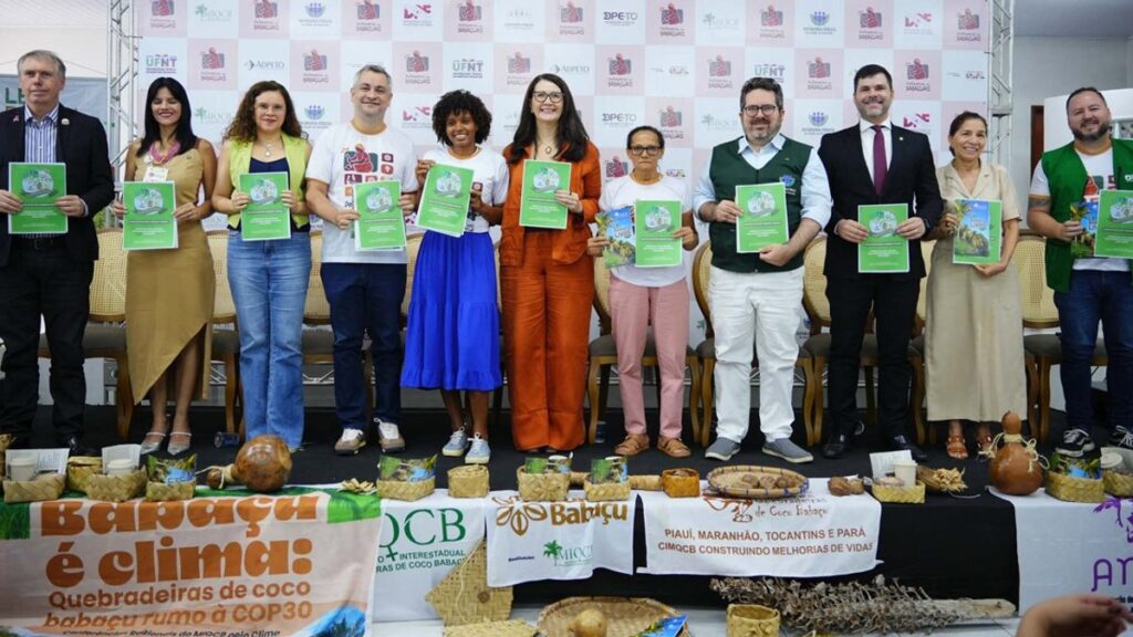 Defensorias nos Babaçuais: Um Encontro Vital para a Justiça Climática e Ambiental Imagem do artigo