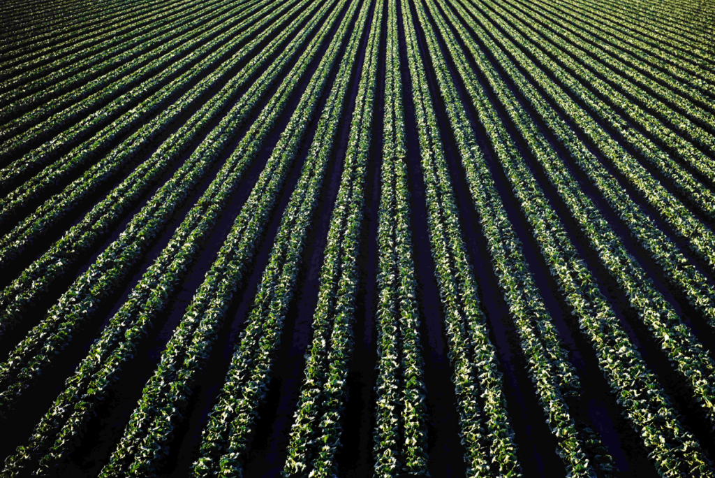 Títulos Privados do Agronegócio Ultrapassam R$ 1,4 Trilhão em 2023 Títulos Privados do Agronegócio Ultrapassam R$ 1,4 Trilhão em 2023