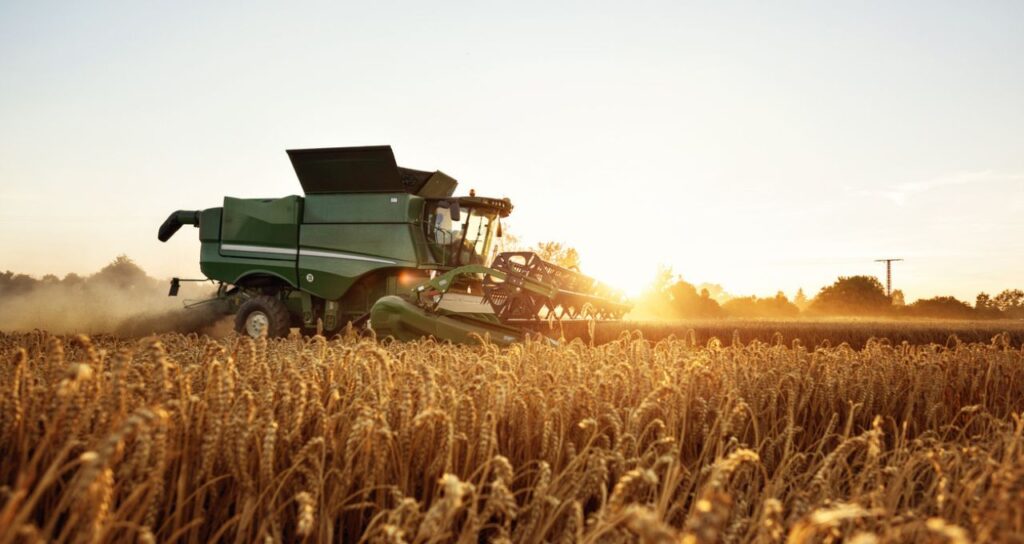 Análise do Agronegócio: Itaú BBA Revela Ações para Enfrentar Demanda Fraca em 2026