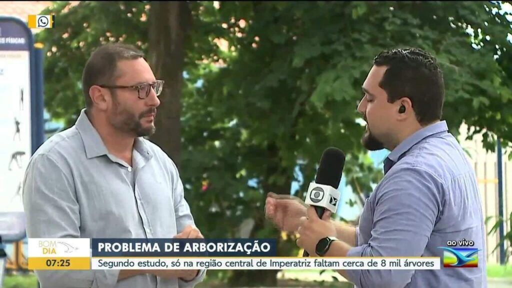 Imperatriz precisa plantar até 80 mil árvores para melhorar clima urbano Imperatriz precisa plantar até 80 mil árvores para melhorar clima urbano