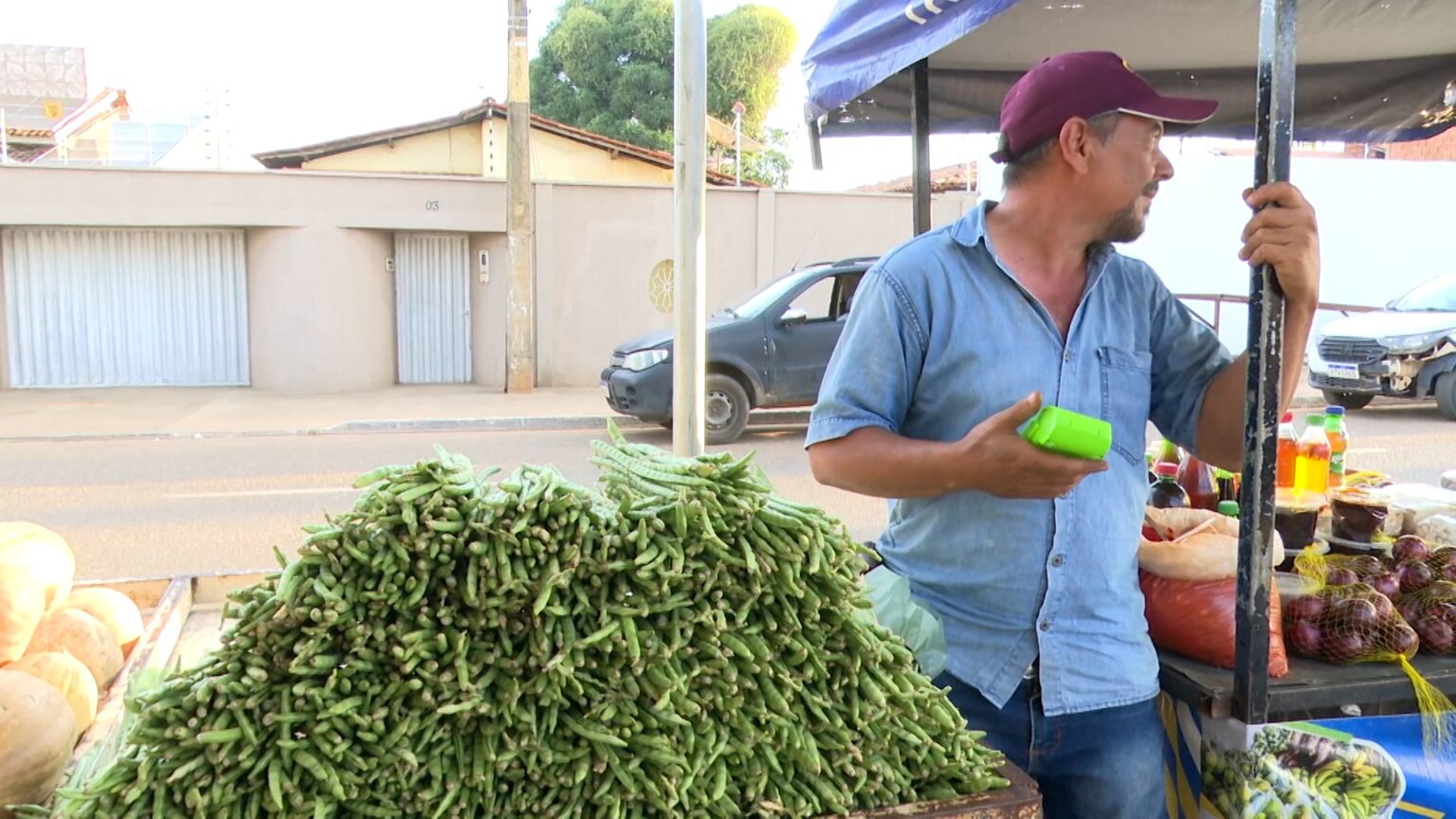 Jovem de Codó Transforma Pimenta em Negócio Lucrativo e Inspira Agricultores Jovem de Codó Transforma Pimenta em Negócio Lucrativo e Inspira Agricultores