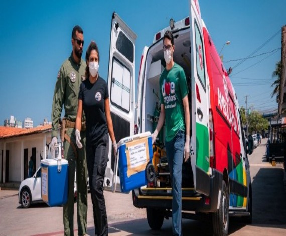Maranhão Alcança Recorde Histórico em Transplantes em 2025 – Avanços na Saúde Maranhão Alcança Recorde Histórico em Transplantes em 2025 - Avanços na Saúde