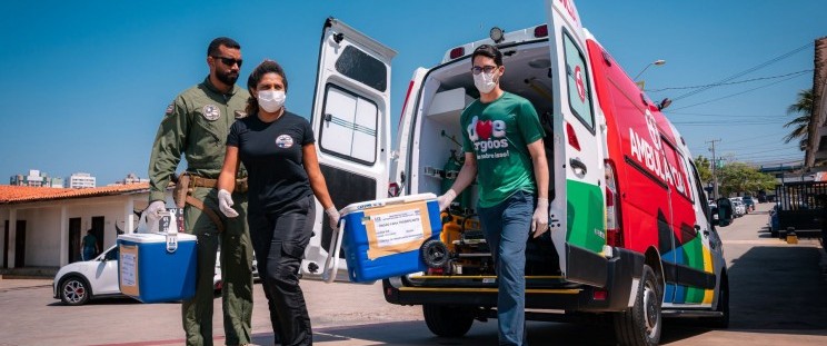Maranhão Alcança Recorde Histórico de Transplantes em 2025: Um Marco na Saúde Estadual Maranhão Alcança Recorde Histórico de Transplantes em 2025: Um Marco na Saúde Estadual
