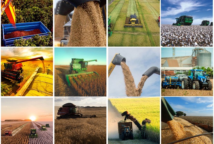 Produtividade do Agronegócio Brasileiro Pode Crescer 20% com Melhoria Operacional Produtividade do Agronegócio Brasileiro Pode Crescer 20% com Melhoria Operacional
