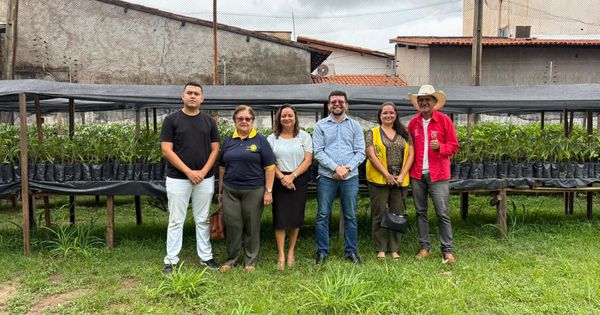 Imperatriz Recebe 150 Mudas para Arborização Urbana – Iniciativa da SEMMARH Imperatriz Recebe 150 Mudas para Arborização Urbana – Iniciativa da SEMMARH