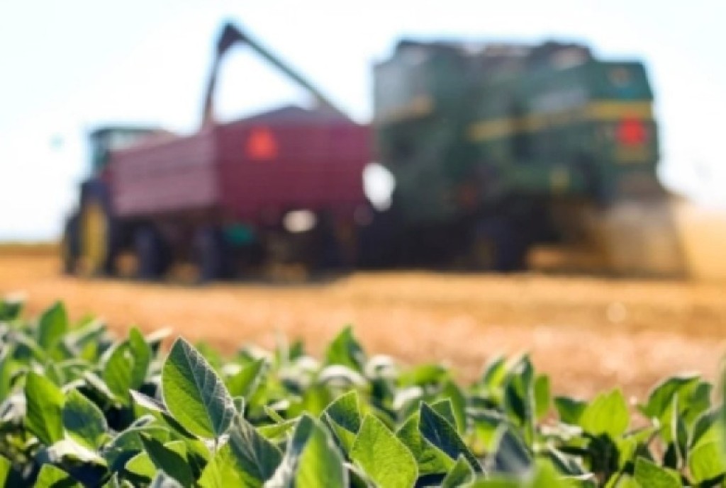 Reforma Tributária Pode Impactar Competitividade de Bioinsumos e Fertilizantes no Brasil Reforma Tributária Pode Impactar Competitividade de Bioinsumos e Fertilizantes no Brasil