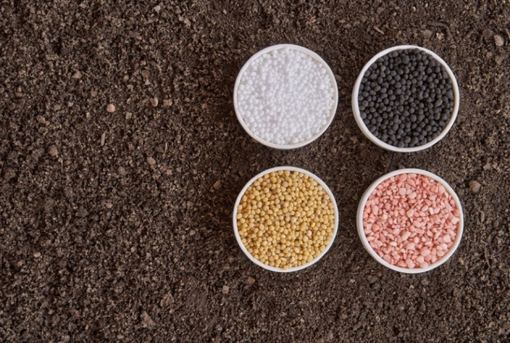 Aumento dos Custos com Fertilizantes Compromete Rentabilidade no Agronegócio Brasileiro em 2026 Aumento dos Custos com Fertilizantes Compromete Rentabilidade no Agronegócio Brasileiro em 2026