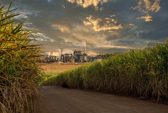 Crescimento da Moagem de Cana no Norte e Nordeste com Ênfase no Etanol Crescimento da Moagem de Cana no Norte e Nordeste com Ênfase no Etanol