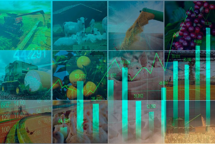Crescimento do PIB em 2026: Agronegócio é o Grande Impulsor com 11,7% de Alta Crescimento do PIB em 2026: Agronegócio é o Grande Impulsor com 11,7% de Alta