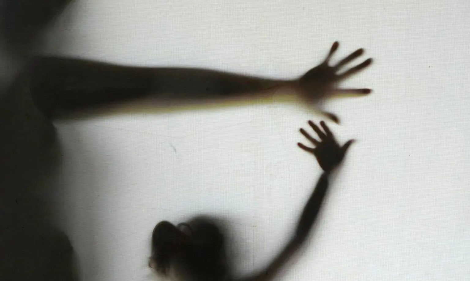 Imperatriz Registra Quatro Denúncias Diárias de Violência Contra a Mulher Imagem do artigo