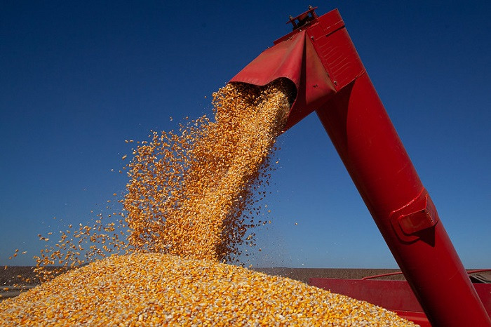 Acordo Inovador Impulsiona Uso de Dados Técnicos no Judiciário para Recuperação Judicial no Agronegócio Acordo Inovador Impulsiona Uso de Dados Técnicos no Judiciário para Recuperação Judicial no Agronegó