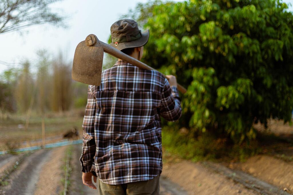Crescimento do Agronegócio: Recorde de Empregos no Setor em 2025 Crescimento do Agronegócio: Recorde de Empregos no Setor em 2025