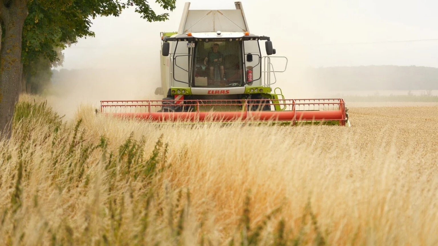 Crescimento do PIB do Agronegócio: 12% em 2025 e R$ 3,2 Trilhões