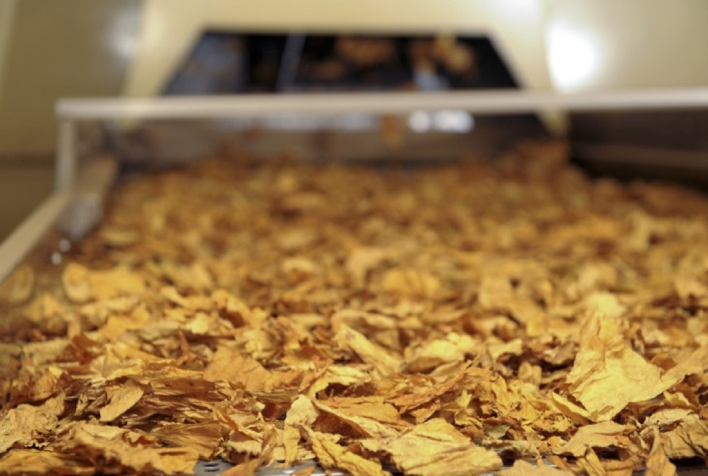 Acordo Mercosul-União Europeia: Uma Nova Oportunidade para o Tabaco Brasileiro Acordo Mercosul-União Europeia: Uma Nova Oportunidade para o Tabaco Brasileiro