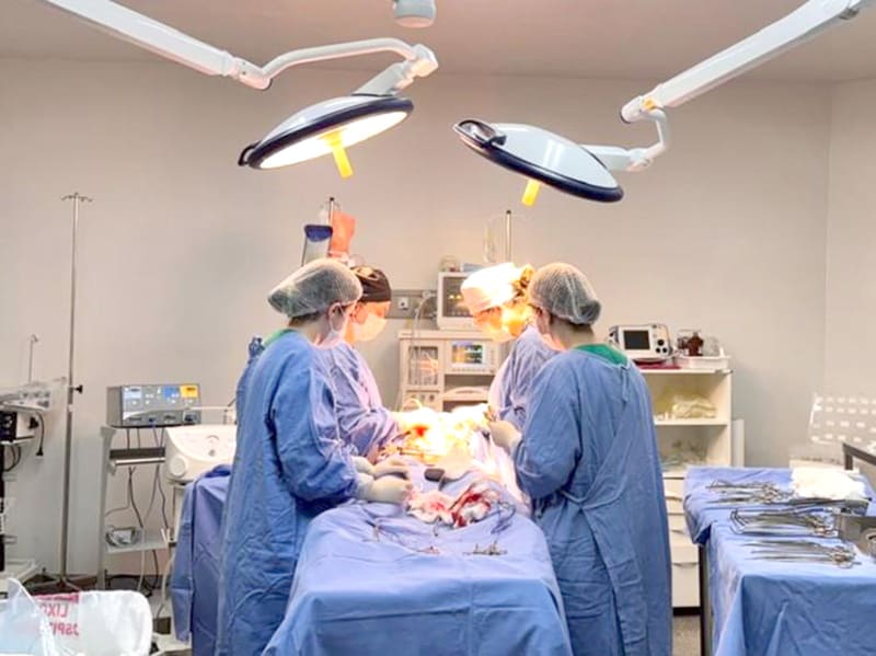 Avanços em Transplantes de Córnea em Mato Grosso: Espera Reduzida e Atendimento Ampliado Avanços em Transplantes de Córnea em Mato Grosso: Espera Reduzida e Atendimento Ampliado