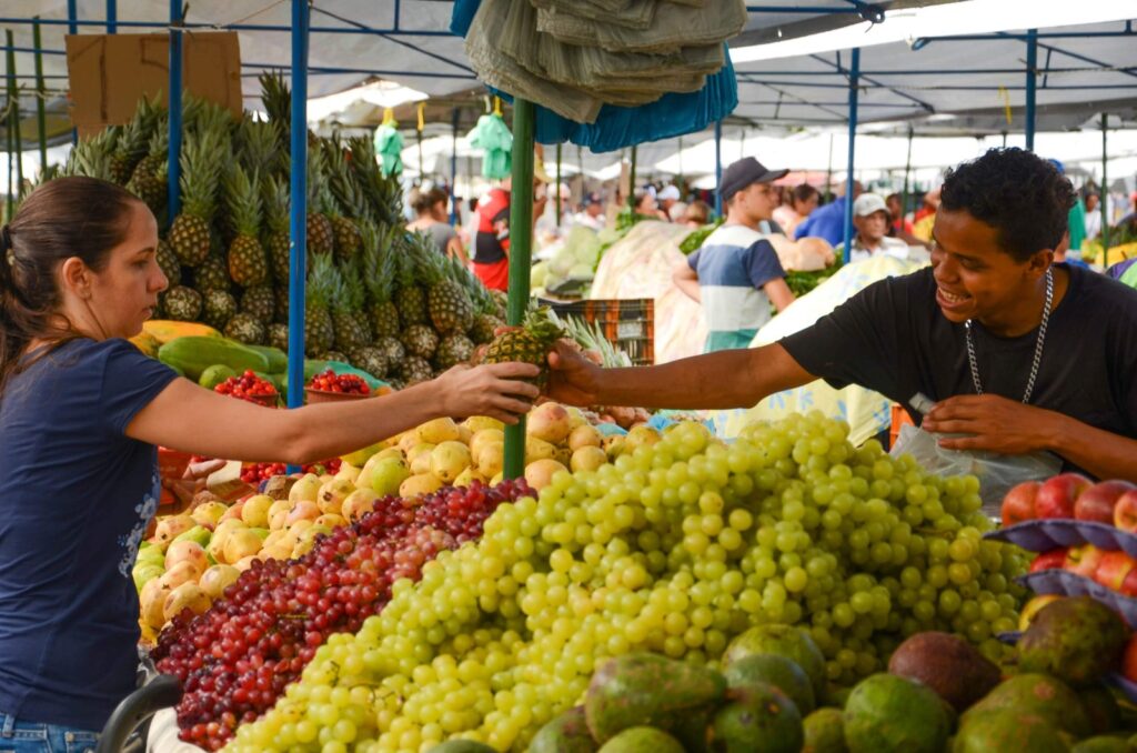 Cesta Básica Fecha Janeiro com Queda de Preços: Alívio Financeiro para as Famílias Cesta Básica Fecha Janeiro com Queda de Preços: Alívio Financeiro para as Famílias