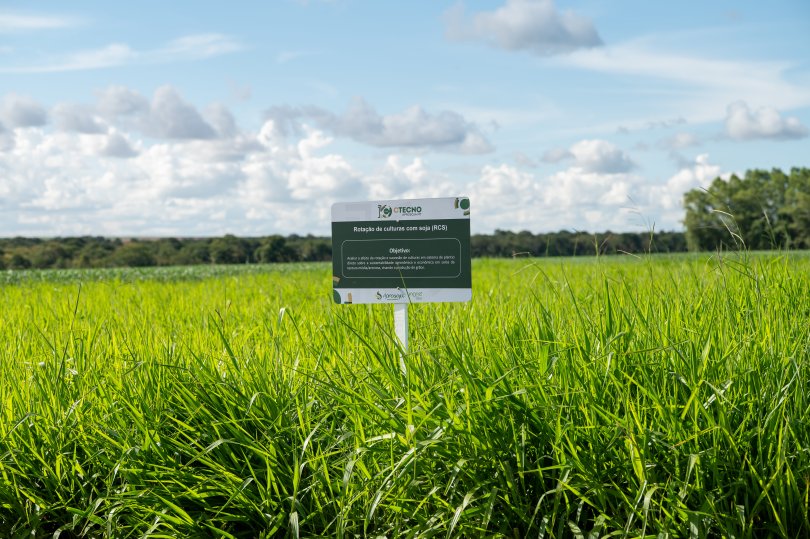 CTECNO Parecis: Um Pioneiro em Sustentabilidade Agrícola na Região CTECNO Parecis: Um Pioneiro em Sustentabilidade Agrícola na Região