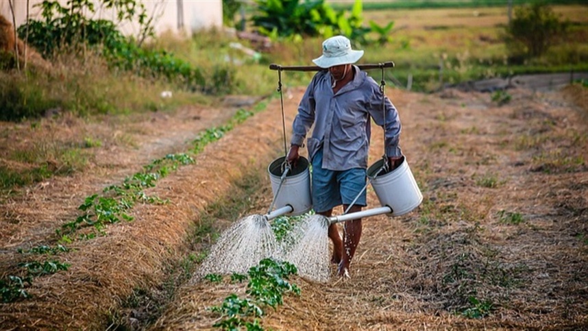 Desafios do Produtor Rural no Contexto de um Agronegócio Forte Desafios do Produtor Rural no Contexto de um Agronegócio Forte