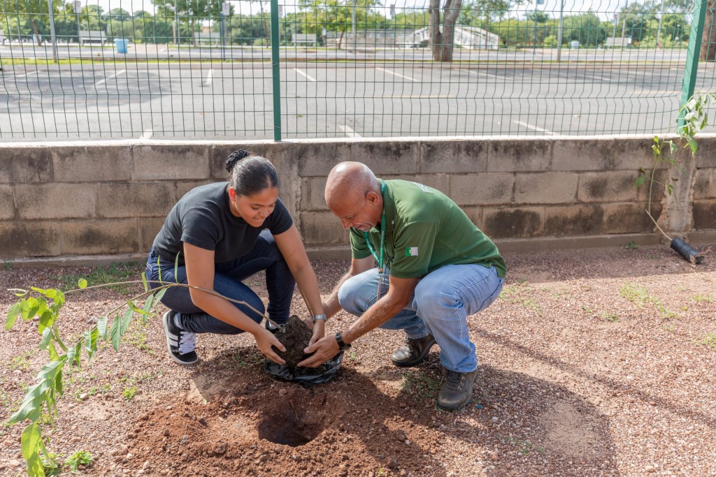Iniciativa ‘Tia Nair Mais Verde’ Atinge Novo Marco com Plantio de 30 Mudas Iniciativa 'Tia Nair Mais Verde' Atinge Novo Marco com Plantio de 30 Mudas