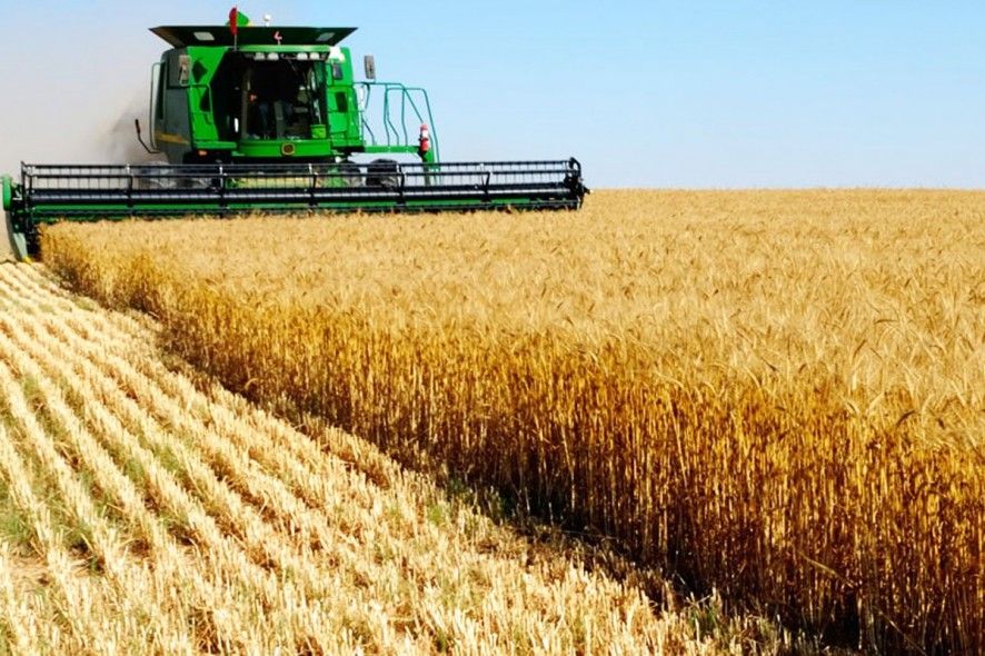 Mato Grosso: Economia em Alta com R$ 273 Bilhões de PIB em 2025 Mato Grosso: Economia em Alta com R$ 273 Bilhões de PIB em 2025
