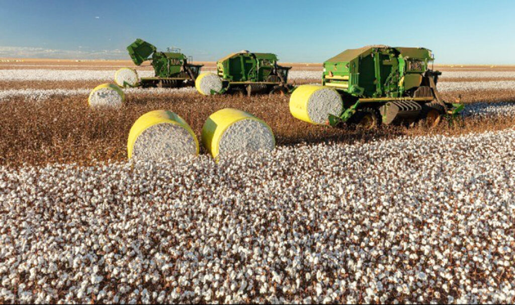Mato Grosso Mantém Liderança na Produção de Grãos e Algodão em 2025/2026