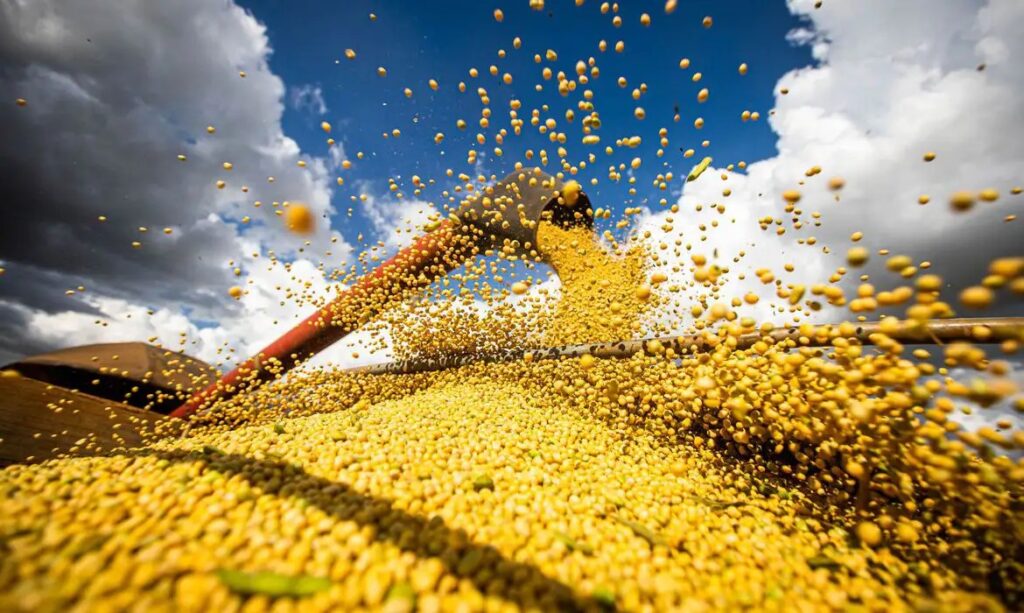Indústria de Soja em Mato Grosso Registra Recorde de Esmagamento em Janeiro: Crescimento de 15%