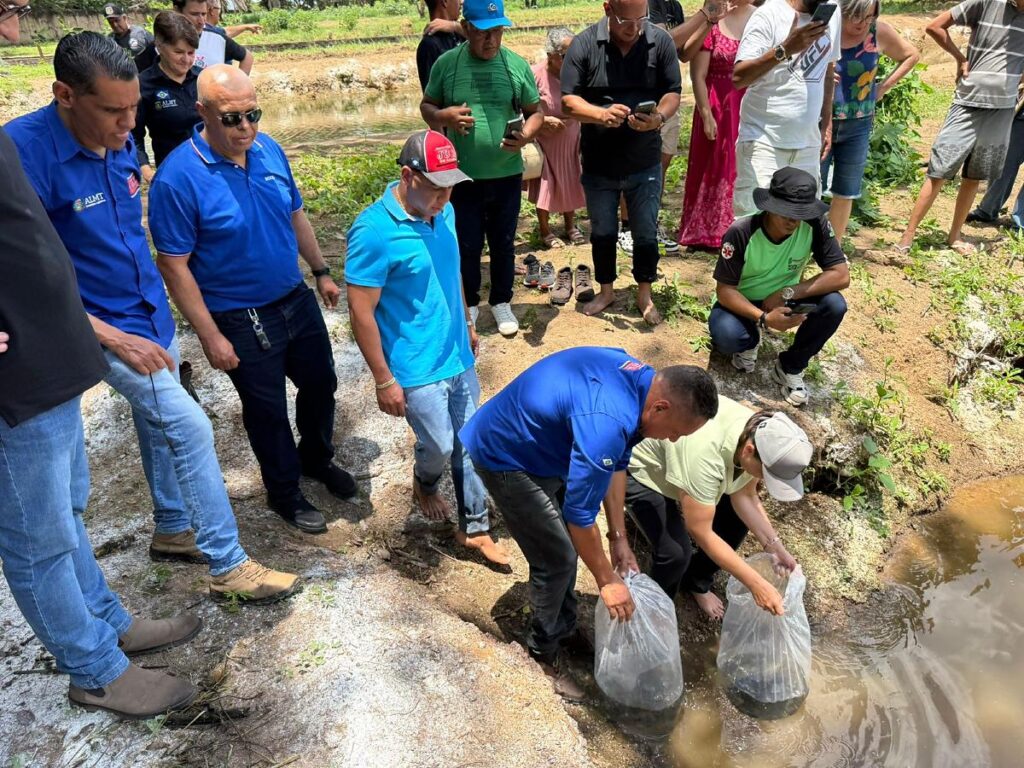 Juca do Guaraná Avança em Projeto de Aquaponia e Entrega Alevinos em Várzea Grande Juca do Guaraná Avança em Projeto de Aquaponia e Entrega Alevinos em Várzea Grande