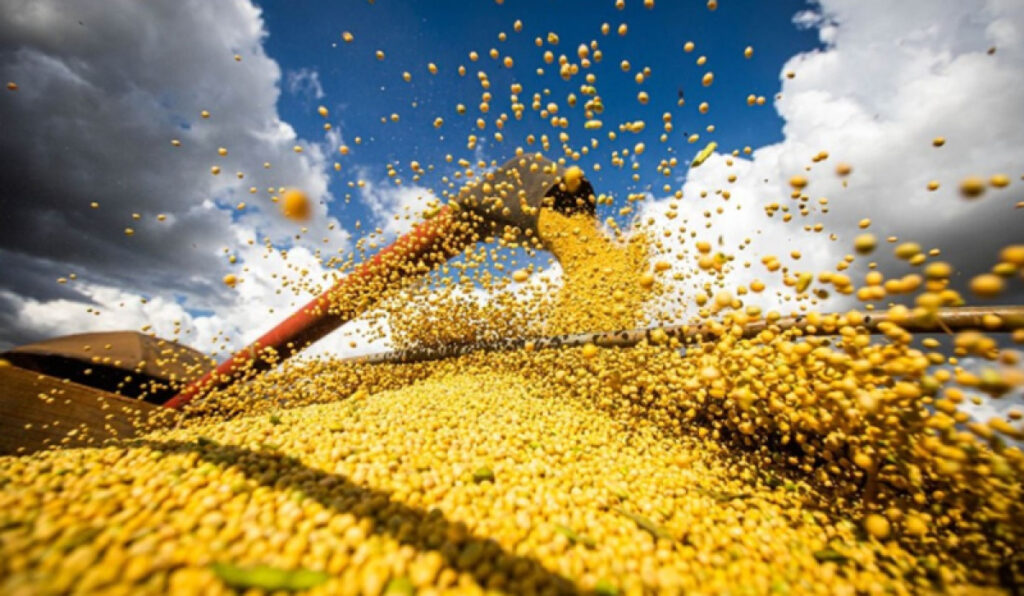 Mato Grosso: 3ª Maior Produção de Soja do Mundo, Fato Impressionante!